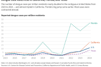 A line chart of reported dengue cases per million residents in Florida, California, the U.S., and Texas from 2015 to 2024 showing that rates have been rising since 2021 and Florida's rate at least two times of the other metrics in 2024.
